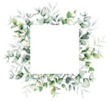 eucalyptus waterverf kader. eucalyptus groen kader hand- geschilderd geïsoleerd Aan transparant achtergrond. perfect voor bruiloft uitnodigingen, bloemen etiketten, bruids douche en bloemen groet kaarten png