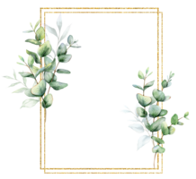 eucalipto aguarela quadro. eucalipto vegetação quadro, Armação mão pintado isolado em transparente fundo. perfeito para Casamento convites, floral rótulos, nupcial chuveiro e floral cumprimento cartões png