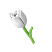 3d White Tulip Flower Cartoon Style for Bouquet or Decoration. Love Valentine romantic design transparent spring illustration png