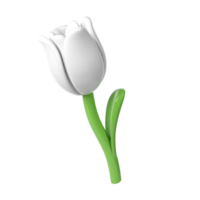 3d White Tulip Flower Cartoon Style for Bouquet or Decoration. Love Valentine romantic design transparent spring illustration png