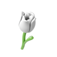 3d White Tulip Flower Cartoon Style for Bouquet or Decoration. Love Valentine romantic design transparent spring illustration png