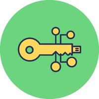 digital key Vector Icon