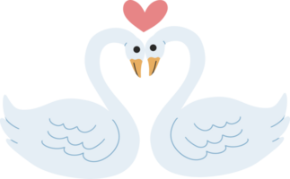 Swan love valentine illustration png