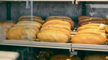 pane pagnotte nel plastica involucro a un' negozio. appena al forno pane pagnotte confezionato e visualizzato per vendita video