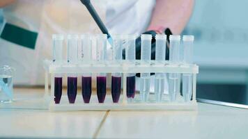 Laboratory Test Tubes with Samples. Lab test tubes filled with purple samples in a stand. video