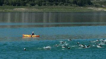 Vinuela, Malaga, 2016 - Participating in a triathlon swimming in a lake video