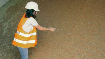 Quality Control Engineer Inspecting Grains at Warehouse. engineer girl in hard hat examining quality of grains video