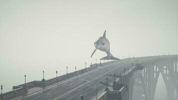 A large white dolphin is flying over a bridge video