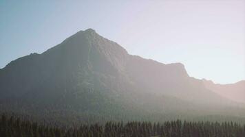 A view of a mountain with trees in the foreground video