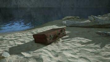 uma peça do bagagem sentado em topo do uma arenoso de praia video