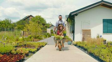 Flower gardeners have fun together. A man carries a woman in a wheelbarrow with flowers. Happy flower gardeners day. video