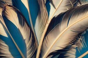 AI generated Closeup vibrant feather texture wallpaper background. Pro Photo