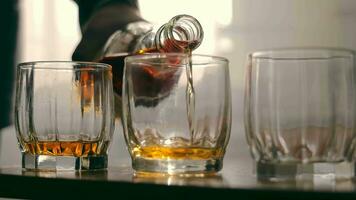 whisky verser dans verre élégamment. whisky verser dans verre élégamment. une fermer de ambre whisky étant versé dans une clair verre. video