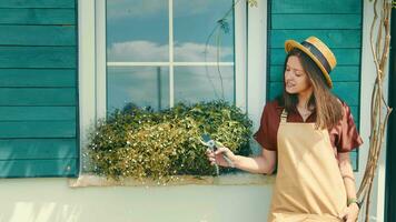 A young woman takes care of the house and the flowers on the window. video