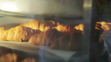 frisch gebacken Croissants im Ofen, Bäckerei Produktion Verfahren. golden frisch gebacken Croissants sind sichtbar durch das Ofen Fenster, Erfassen das Wärme und Köstlichkeit von das Bäckerei Produktion video