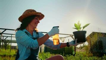 un hembra caucásico jardinero aerosoles un flor maceta con un verde planta en contra el iluminar desde el fondo de el del sol rayos verde hojas y agua gotas son iluminado por el contrastando Dom. video