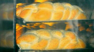cozimento pão dentro forno. Visão do pão pães cozimento dentro a calor do uma ampla industrial forno. video
