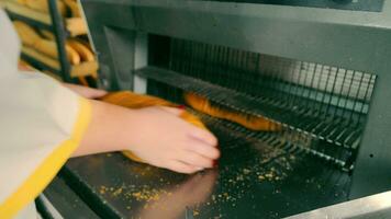 femmina mani Imballaggio affettato pane dopo automatico affettare nel interno fabbrica. il processi di produzione di pane e forno prodotti. automatico taglio di pane per ulteriore confezione. avvicinamento. video