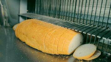 Fresh Loaf on Conveyor Belt. A fresh loaf of bread on the conveyor belt of a bakery. video