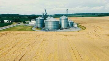 uma olho do pássaro Visão do moderno celeiros dentro a meio do uma maduro dourado trigo campo. bunkers para grão dentro a meio do uma trigo campo. metal silos video