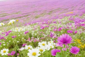 AI generated close up nature landscape flowers field. Pro Photo