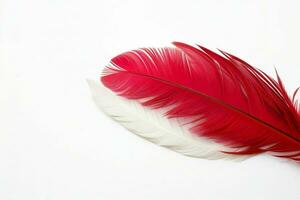 AI generated Feather texture wallpaper background with copy space for text. Pro Photo