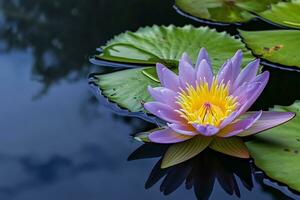 AI generated shot of lotus flower floating in the pond photo