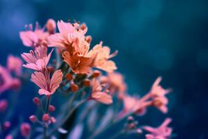 ai generado un cerca arriba imagen de un manojo de flor en un azul antecedentes foto