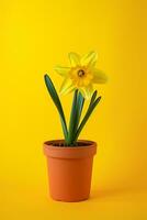 AI generated image of daffodil flower on isolated plain background photo