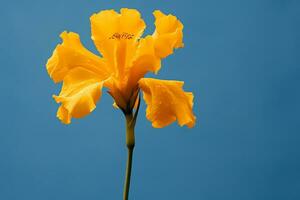 ai generado un amarillo flor con un azul llanura antecedentes foto