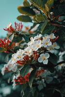 ai generado un manojo de flores ese son en un árbol foto