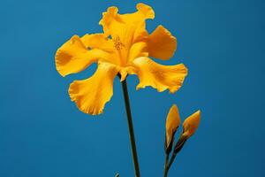 ai generado un amarillo flor con un azul llanura antecedentes foto