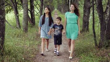 Happy beautiful mother with her daughter and son walking in the park holding hands smiling and enjoying nature on a summer sunny day video