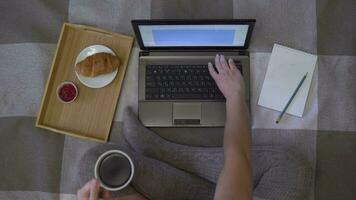 Overhead Schuss, jung Mädchen Tippen auf ein Laptop während halten ein Tasse von Kaffee im ihr Hand. Nächster zu ihr Notizbuch mit ein Bleistift und ein Croissant mit Marmelade. video