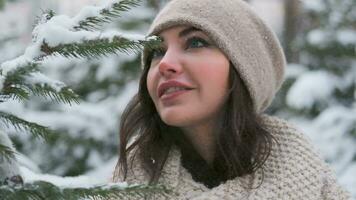 portret van een mooi jong meisje met donker haar- en blauw ogen in een winter park in de buurt de Kerstmis boom video