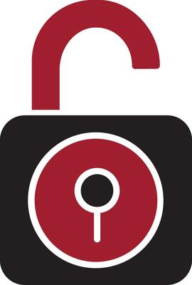 Privacy Vector Icon