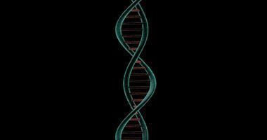 Dna Chain rotating on black background video