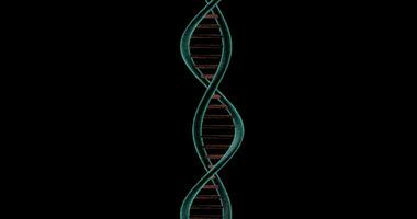 Dna Chain rotating on black background video