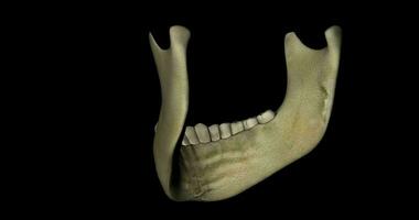 Unterkiefer Knochen mit Zähne von ein Schädel von ein Skelett Mensch Körper im Drehung video