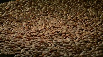 Mountain of lentils gyrating with intimate light video