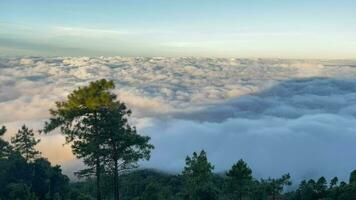 bellissimo cielo con nuvole e sole su un' estate giorno. tempo periodo di nuvole sopra il blu cielo con il sole splendente. cielo natura sfondo. video