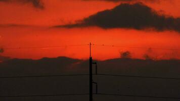 Electrical poles and wires in the sunset sky and moving clouds in the background in the countryside. video