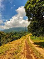 Beautiful view of the rocky road with trees from the sides photo