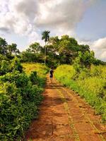 People walking on Campuhan Ridge Walk. Ubud, Bali, Indonesia photo