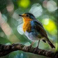 AI generated photograph of a beautiful colorful bird in the Amazon rainforest in Brazil photo