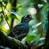 AI generated photograph of a beautiful colorful bird in the Amazon rainforest in Brazil photo