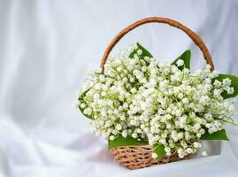 Basket with lilies of the valley on a white background. Greeting card. Copy space. Selective focus. photo