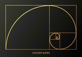 Abstract illustration with golden ratio on gray background. Art gold. Spiral pattern. Line drawing. Vector illustration.