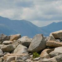 Rocks stones on the beach photo