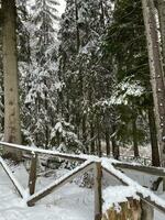 invierno paisaje con Nevado montañas y arboles increíble invierno antecedentes foto